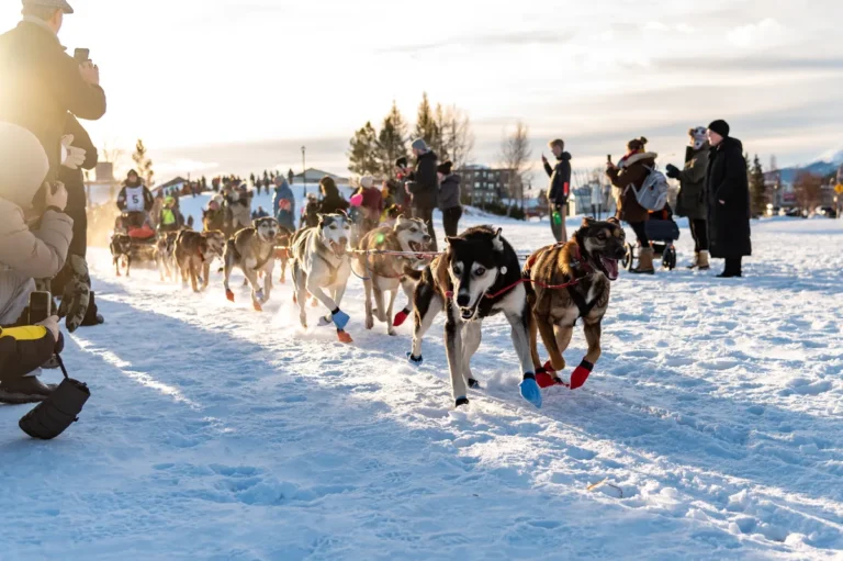 [Aggregator] Downloaded image for imported item #124311