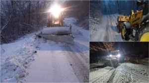 [Aggregator] Downloaded image for imported item #124303