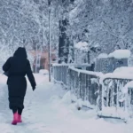 [Aggregator] Downloaded image for imported item #125342