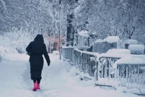 [Aggregator] Downloaded image for imported item #125342