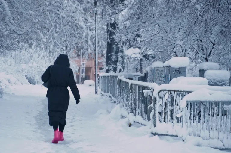 [Aggregator] Downloaded image for imported item #125342