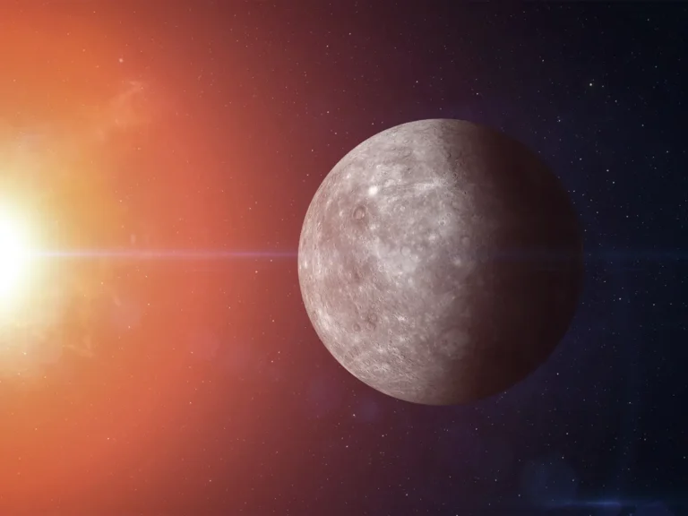 [Aggregator] Downloaded image for imported item #124416