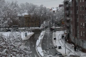 [Aggregator] Downloaded image for imported item #124393