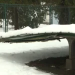 [Aggregator] Downloaded image for imported item #124516