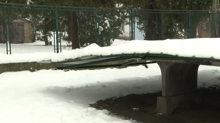 [Aggregator] Downloaded image for imported item #124516