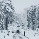 [Aggregator] Downloaded image for imported item #124522