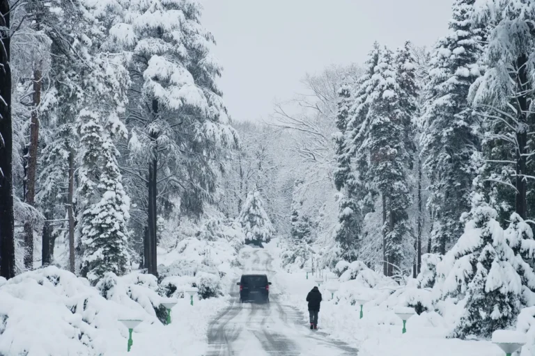 [Aggregator] Downloaded image for imported item #124522