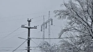 [Aggregator] Downloaded image for imported item #125054