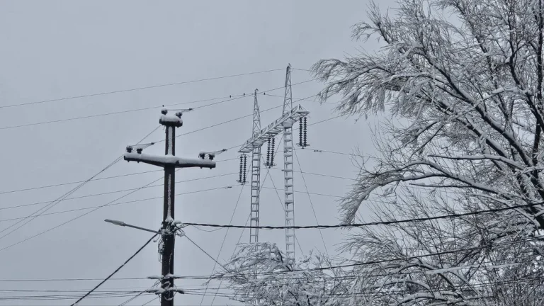 [Aggregator] Downloaded image for imported item #125054