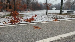 [Aggregator] Downloaded image for imported item #124635