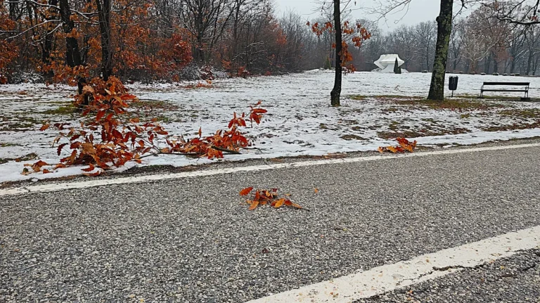 [Aggregator] Downloaded image for imported item #124635