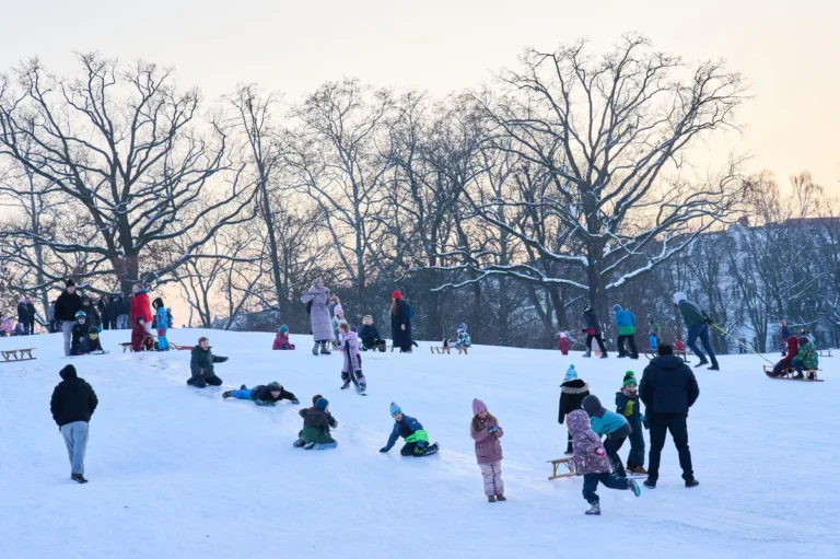 [Aggregator] Downloaded image for imported item #124662