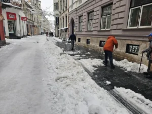 [Aggregator] Downloaded image for imported item #124785