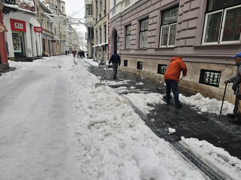 [Aggregator] Downloaded image for imported item #124785