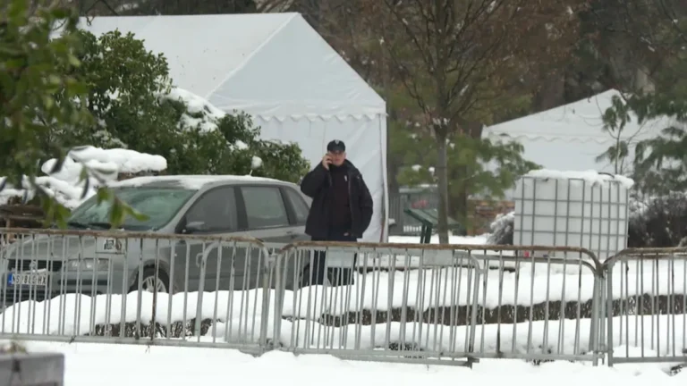 [Aggregator] Downloaded image for imported item #125676