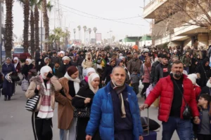 [Aggregator] Downloaded image for imported item #124969