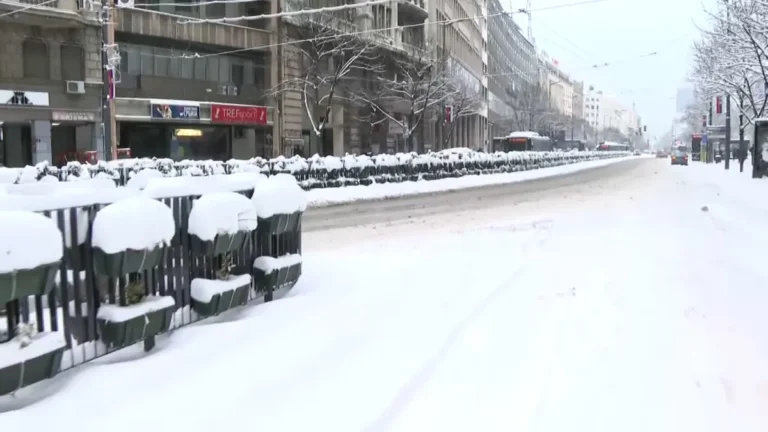 [Aggregator] Downloaded image for imported item #125279