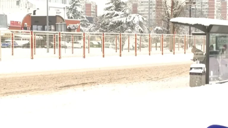 [Aggregator] Downloaded image for imported item #125523