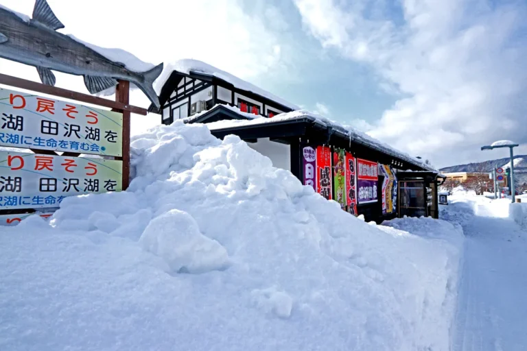 [Aggregator] Downloaded image for imported item #125080