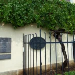 [Aggregator] Downloaded image for imported item #125044