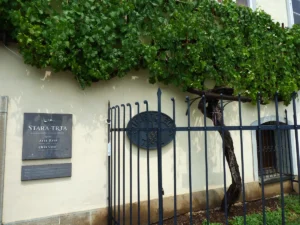 [Aggregator] Downloaded image for imported item #125044