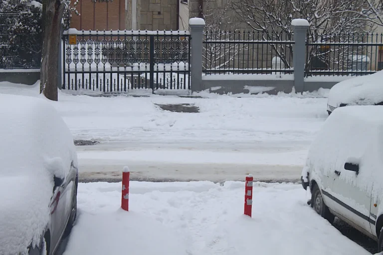 [Aggregator] Downloaded image for imported item #125346