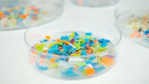 [Aggregator] Downloaded image for imported item #126189