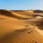 [Aggregator] Downloaded image for imported item #125267