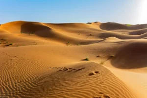 [Aggregator] Downloaded image for imported item #125267