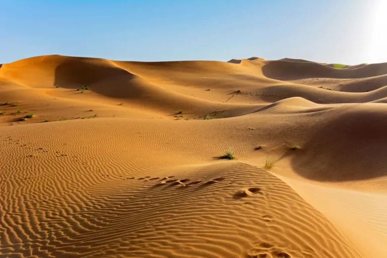 [Aggregator] Downloaded image for imported item #125267