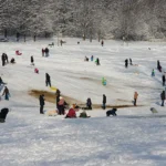 [Aggregator] Downloaded image for imported item #125714