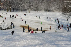 [Aggregator] Downloaded image for imported item #125714