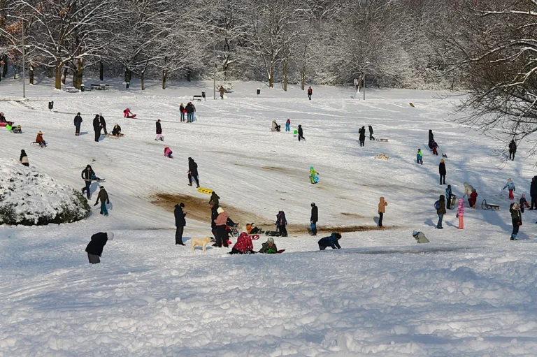 [Aggregator] Downloaded image for imported item #125714