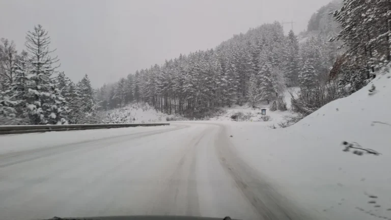 [Aggregator] Downloaded image for imported item #125282