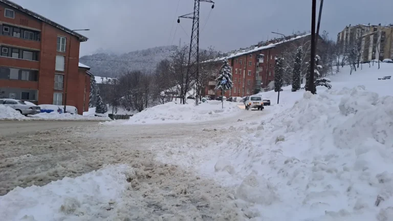 [Aggregator] Downloaded image for imported item #125661