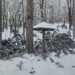 [Aggregator] Downloaded image for imported item #125225