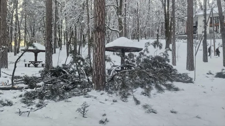 [Aggregator] Downloaded image for imported item #125225