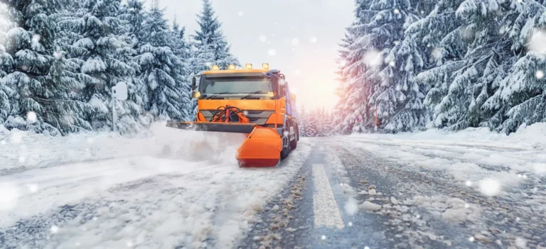 [Aggregator] Downloaded image for imported item #125868