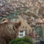 [Aggregator] Downloaded image for imported item #125391