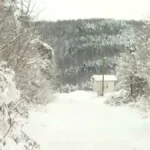 [Aggregator] Downloaded image for imported item #125384