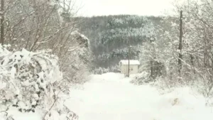 [Aggregator] Downloaded image for imported item #125384