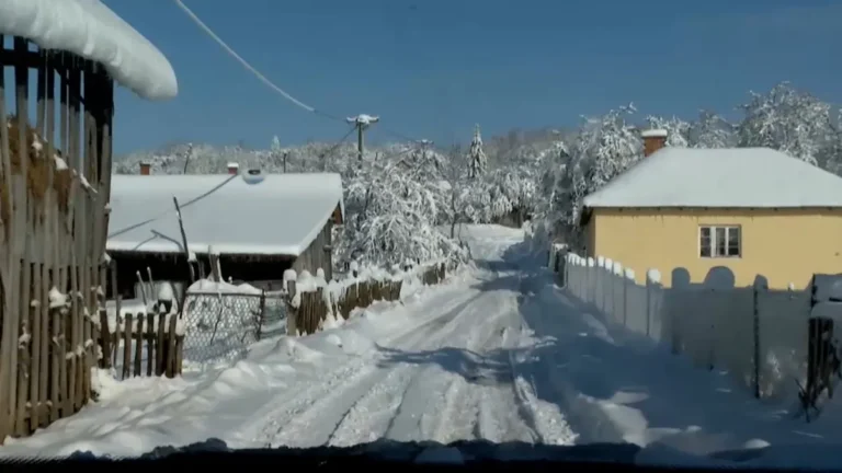 [Aggregator] Downloaded image for imported item #125707