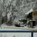 [Aggregator] Downloaded image for imported item #125607