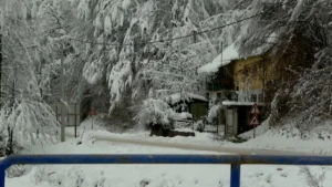 [Aggregator] Downloaded image for imported item #125607