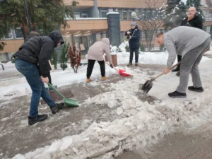 [Aggregator] Downloaded image for imported item #125654