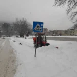 [Aggregator] Downloaded image for imported item #125859