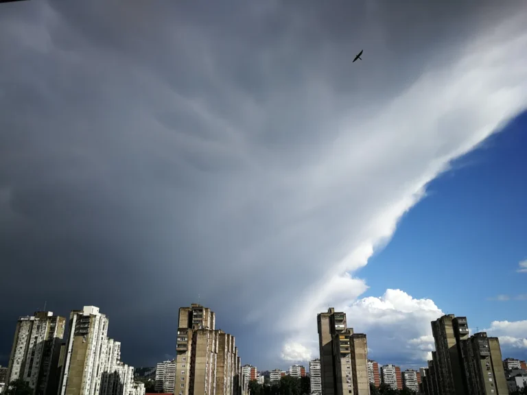 [Aggregator] Downloaded image for imported item #125837