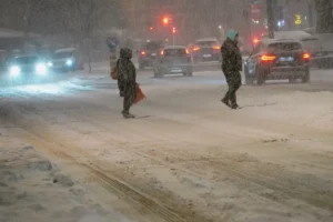 [Aggregator] Downloaded image for imported item #125831