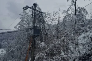 [Aggregator] Downloaded image for imported item #125953