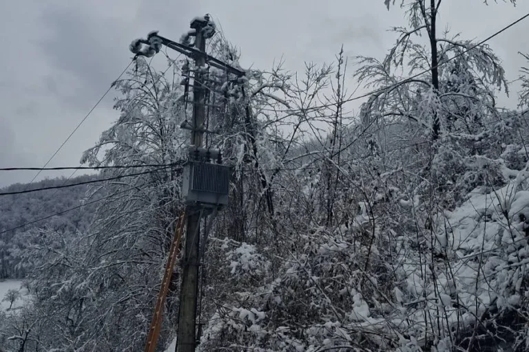 [Aggregator] Downloaded image for imported item #125953